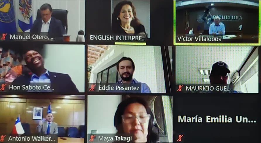 Sesión multilateral en Zoom con canal de interpretación al inglés