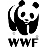 WWF WWF